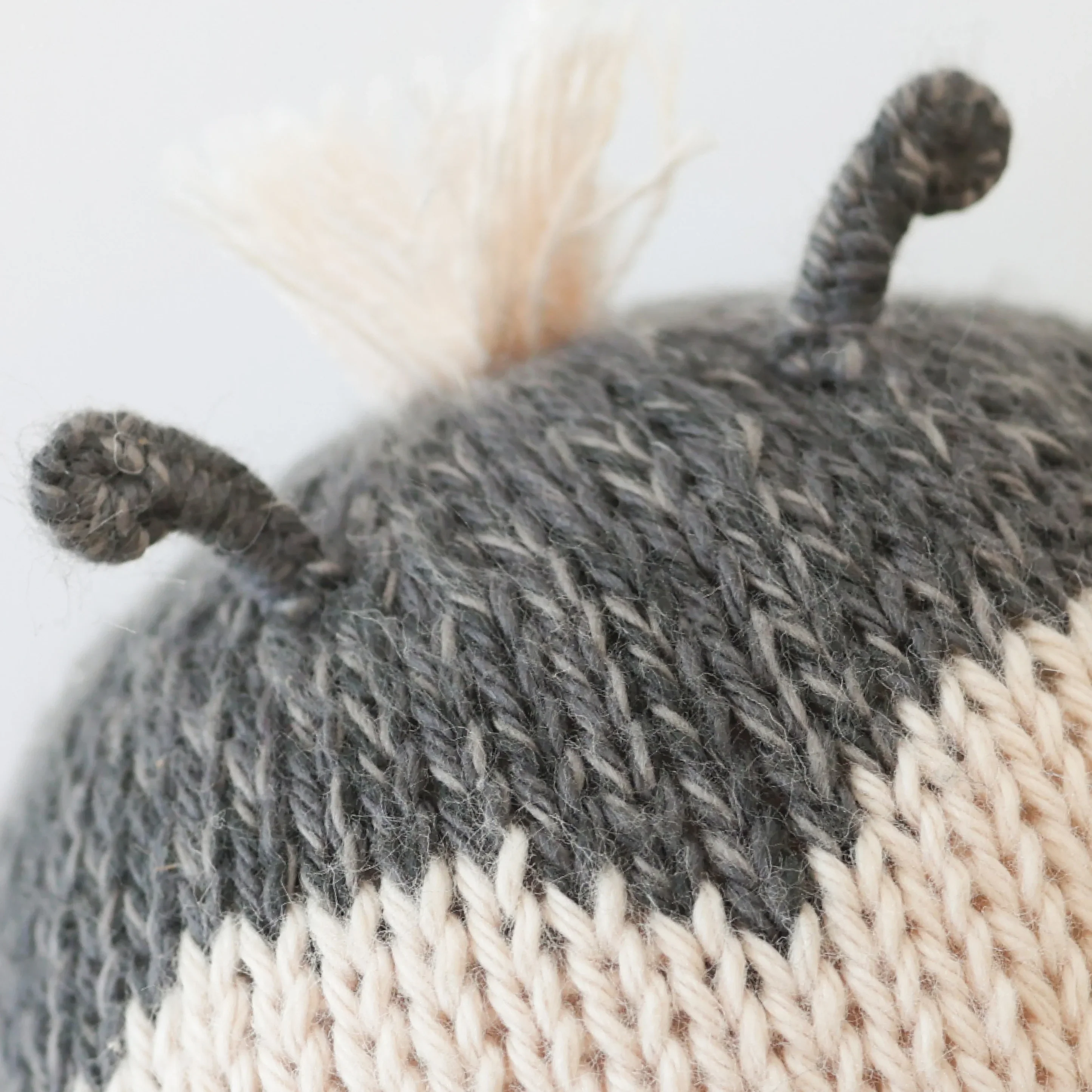 Baby ladybug - Image 2